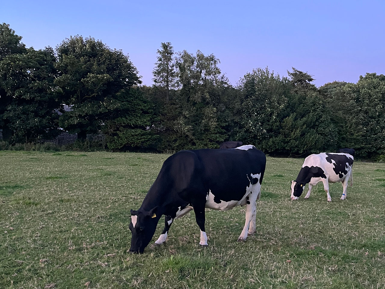 atl-cook-the-farm-scotland-03