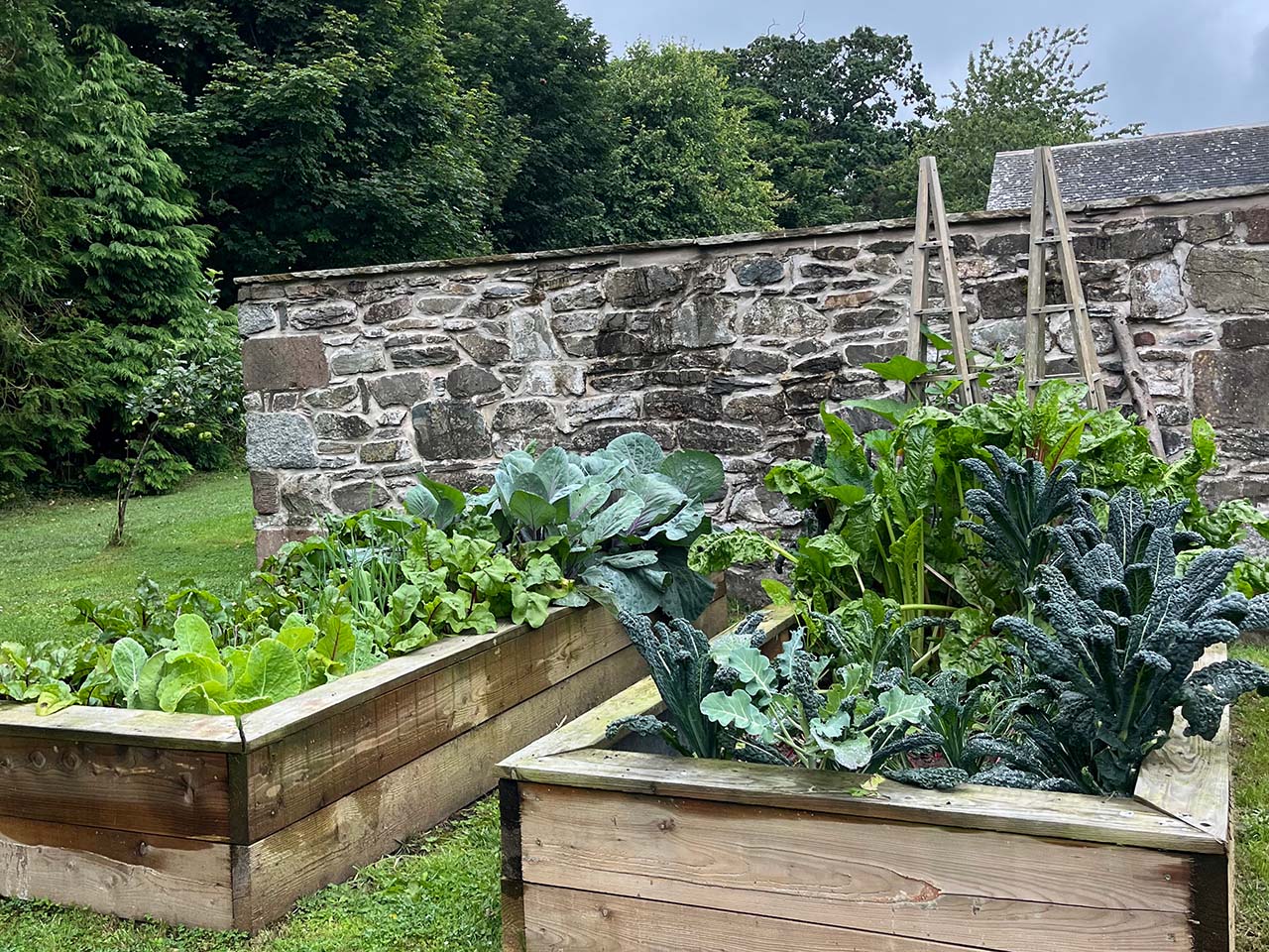 atl-cook-the-farm-scotland-05