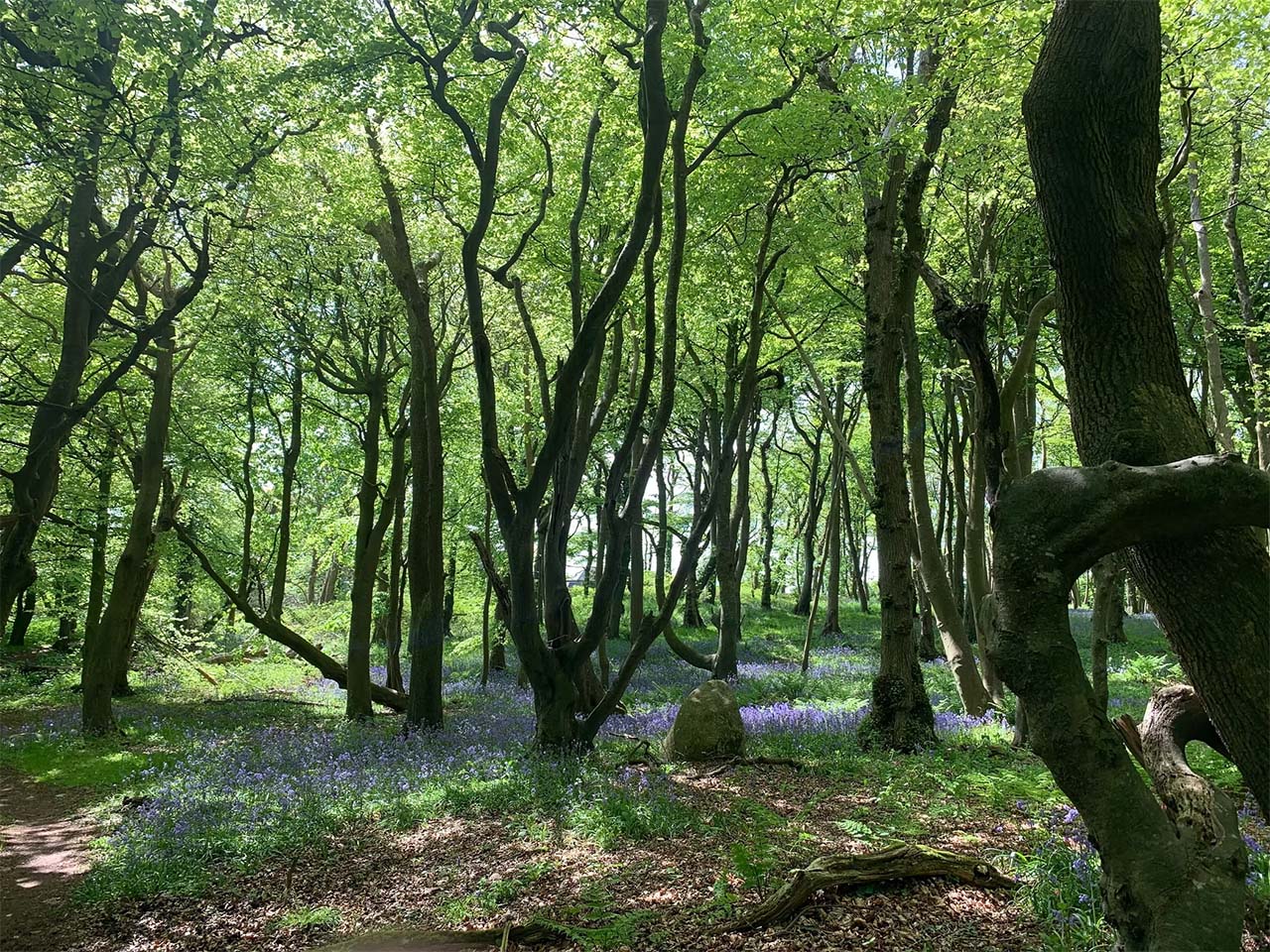 atl-cook-the-farm-scotland-08