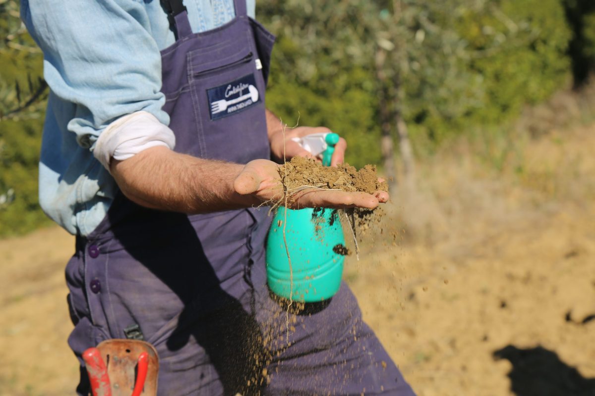 Soil Quality_Elke Talbot